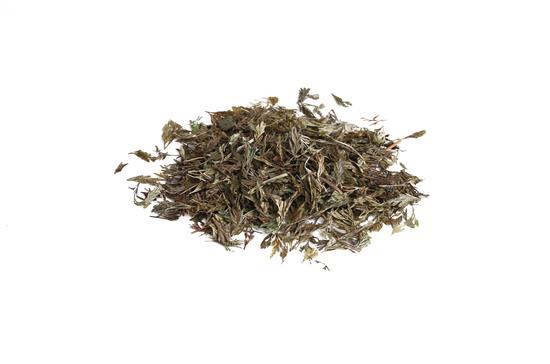 小叶金花草（解毒草）